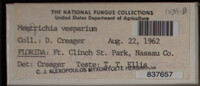 Image Associated With the Occurence